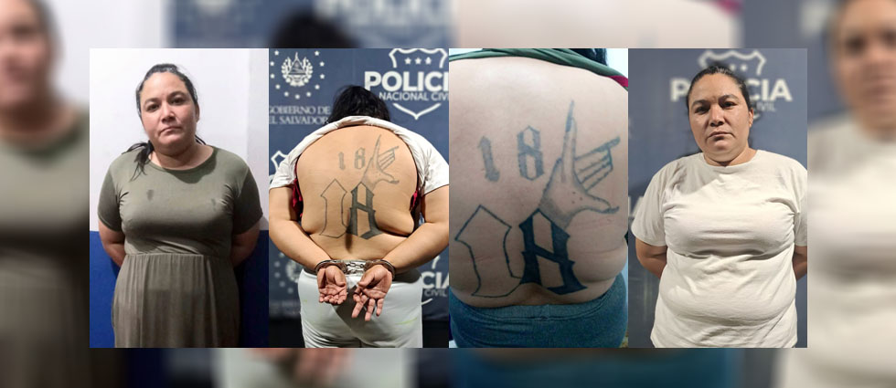 «A simple vista parece que es una ciudadana común», ministro de Seguridad