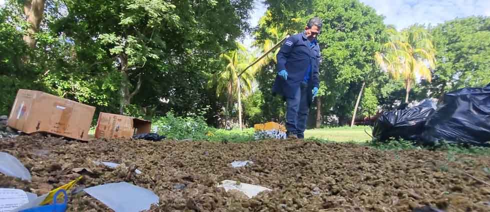 Destruyen droga valorada en más de 50 mil dólares