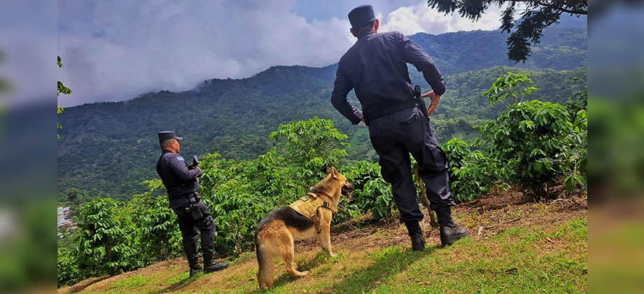 PNC realiza patrullajes en compañía de “Peligro”, perrito experimentado en labores policiacas