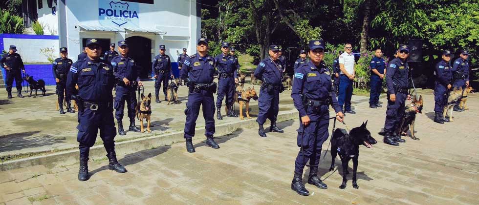 PNC incorpora 16 canimos para combatir el narcotráfico y otros delitos