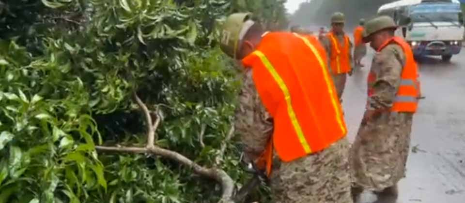 Soldados remueven árbol caído en autopista Los Chorros