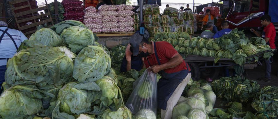 Vendedor al mayoreo de frutas y verduras evadió el pago de $8.4 millones en impuestos