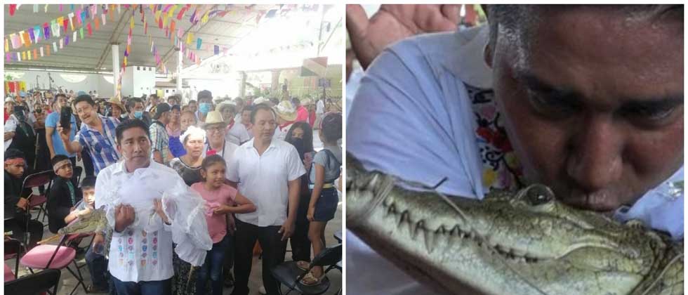 Alcalde se casa con un caimán vestido de novia