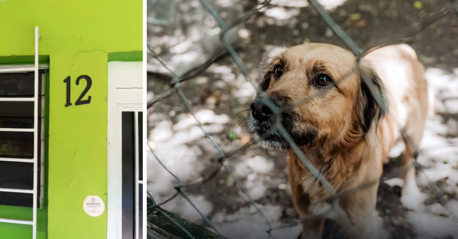 Sancionan a familia de la Zacamil que mantenía enjaulado, sin agua y sin comida a un perrito
