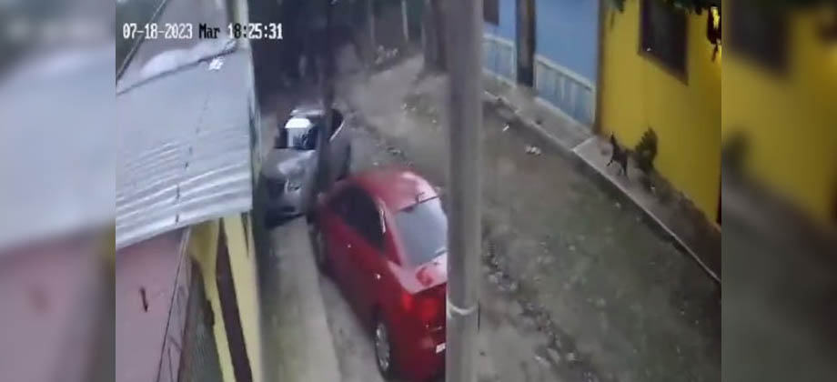 Perros en comunidad de la Paz alertaron de fuerte temblor segundos antes que se sintiera