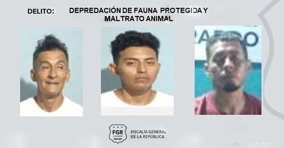 Ordenan la captura de sujetos que se dedicaban a la caza ilegal de especies en peligro de extinción