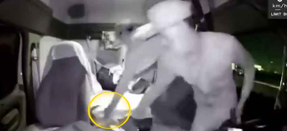 Ladrones golpean y asaltan a trailero en carretera de México