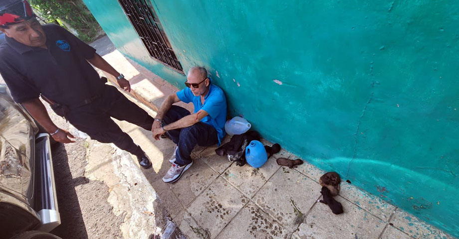 Capturan a sujeto que se robó una camada de perritos recién nacidos en Zaragoza