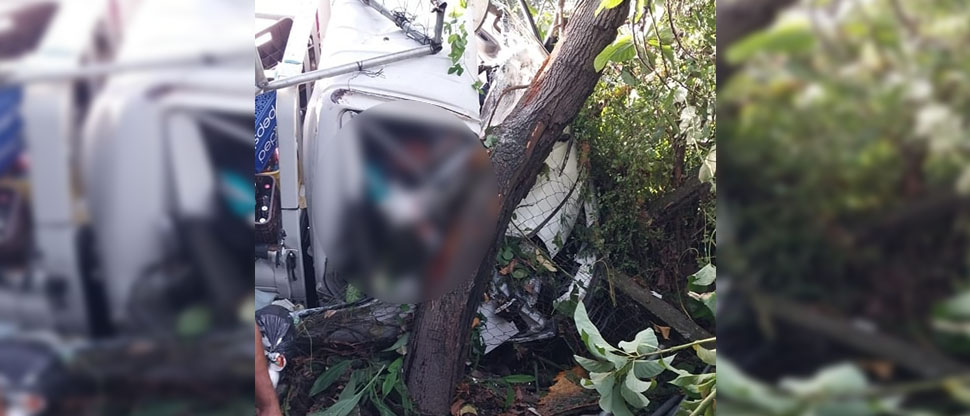 Reportan al menos cinco lesionados tras aparatoso accidente en carretera Troncal del Norte