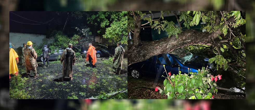 Militares remueven árboles que cayeron sore vehículos en Santa Ana