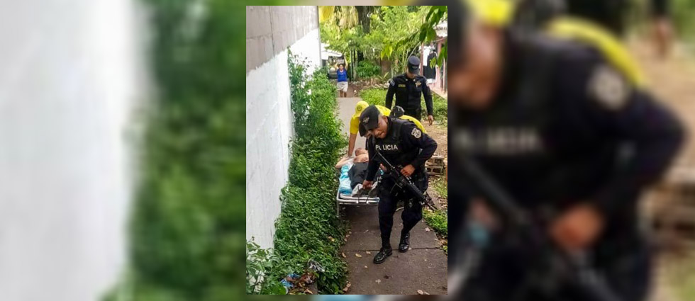 Auxilian a joven tras ser atacado por abejas