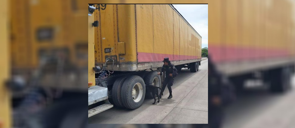 Policías inspeccionan transporte de carga en busca de droga