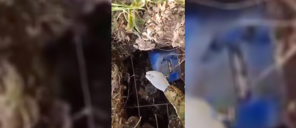 Hallan armas ocultas bajo tierra en Cabañas