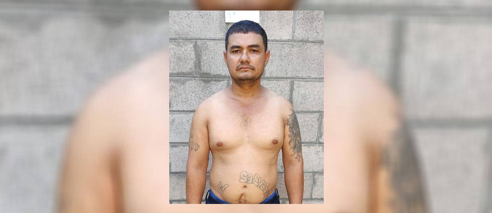 Cae terrorista que se dedicaba a ocultar armas de la MS