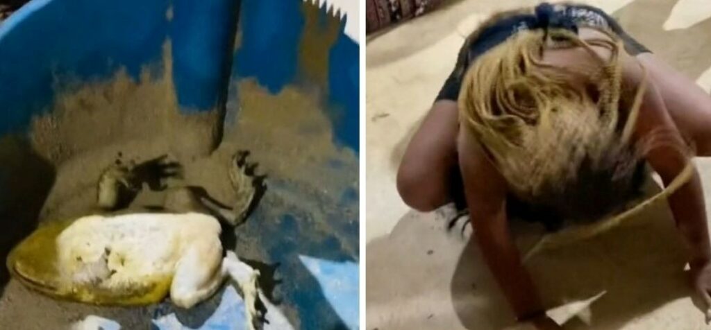 Le sacaron un sapo: pastor asegura que liberó a religiosa de una brujería