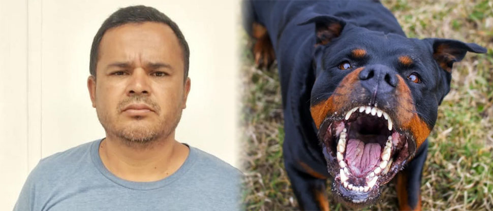 Ponen tras las rejas a dueño de 5 perros raza Rottweiler que lesionaron gravemente a joven 