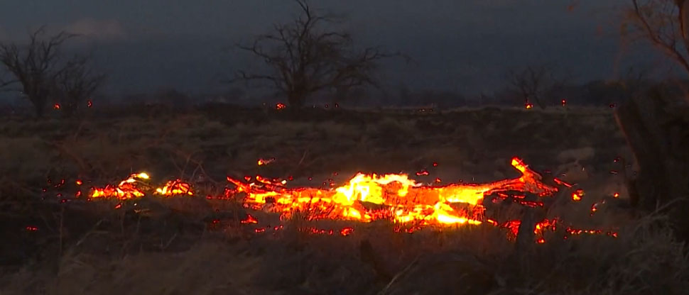 TRAGEDIA: 36 personas fallecen en incendios forestales en Hawai 