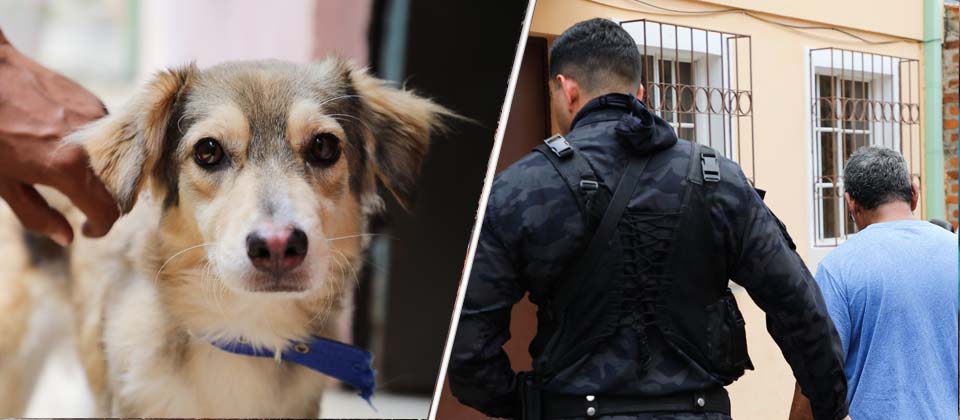 IBA lideró captura de hombre que golpeó salvajemente a una perrita en Ciudad Arce