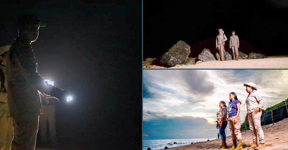 Intensifican patrullajes nocturnos en playas del país para proteger y conservar a las tortugas marinas