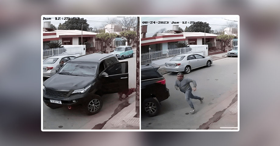 INSÓLITO: Perro enciende un vehículo y provoca un accidente