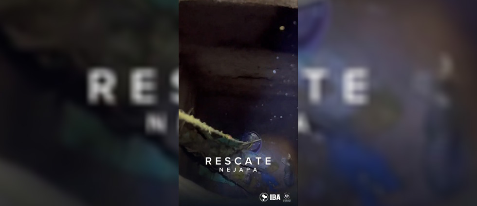 Rescatan a gatito que estuvo por horas atrapado en una fosa séptica
