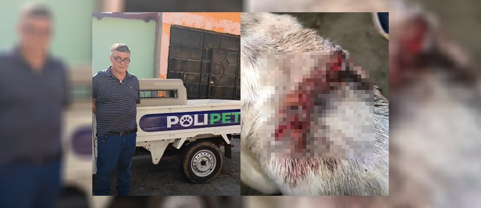 Arrestan a supuesto veterinario que puso grapas y cuerdas de guitarra a un perrito que operó