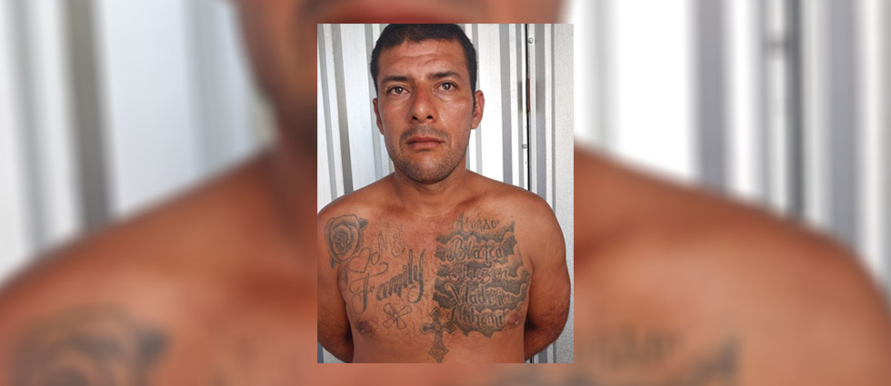 Cae terrorista que intentó disimular tatuaje alusivo a la MS