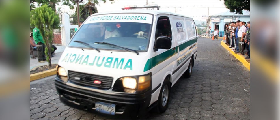 Auxilian a joven estudiante que fue atacada por un enjambre de abejas