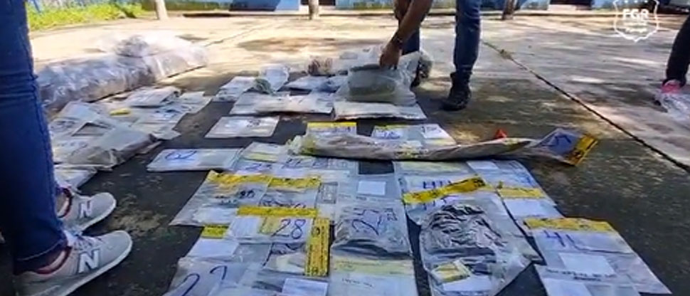 Fiscalía coordina destrucción de droga incautada y valorada en más de 84 mil dólares  