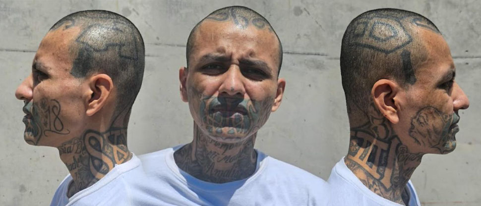 Cae alias Memin, gatillero de la pandilla 18 quien será trasladado al CECOT