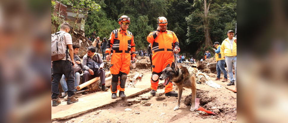 Perros rescatistas se incorporan a búsqueda de 15 personas arrastradas por río en Guatemala