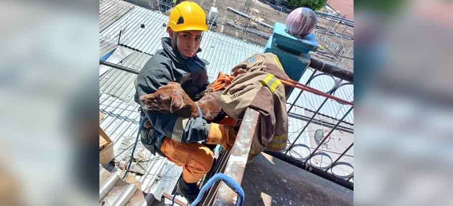 Bomberos rescatan a una perrita que había caído a techo de mercado en la Unión