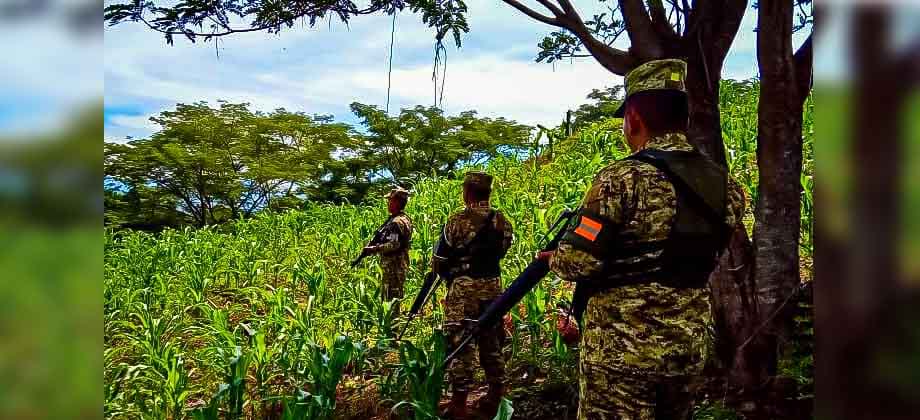 Soldados brindan seguridad en zonas rurales en busca de pandilleros