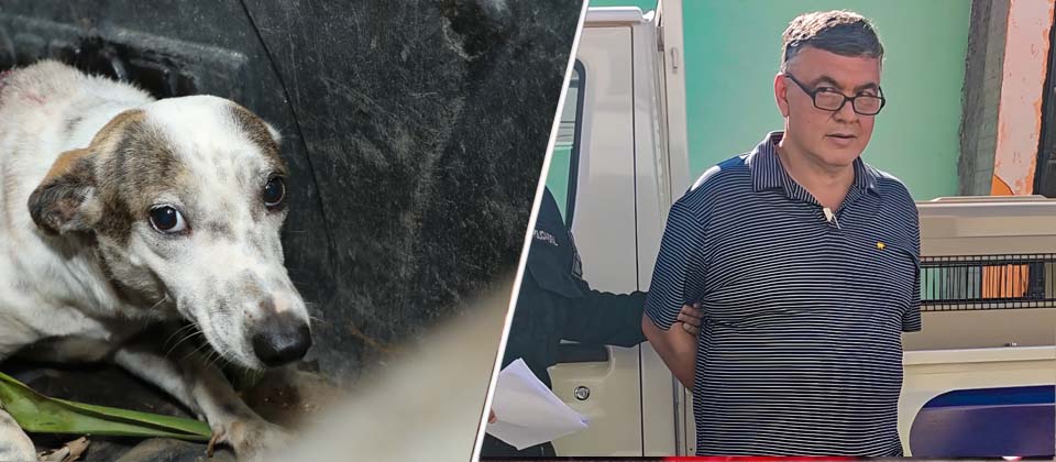 Capturan presunto veterinario quien suturó con alambre a canino en Ahuachapán