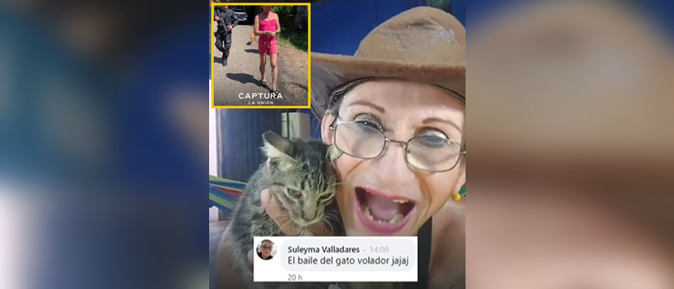 Capturan a sujeto por hacer reto viral del “Gato volador”; será procesado por maltrato animal