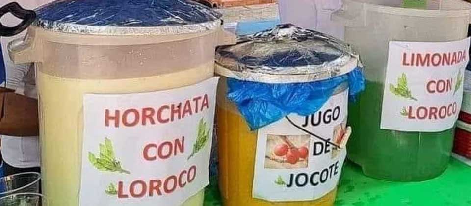 Salvadoreñas ponen a la venta horchatas y limonadas «con loroco»