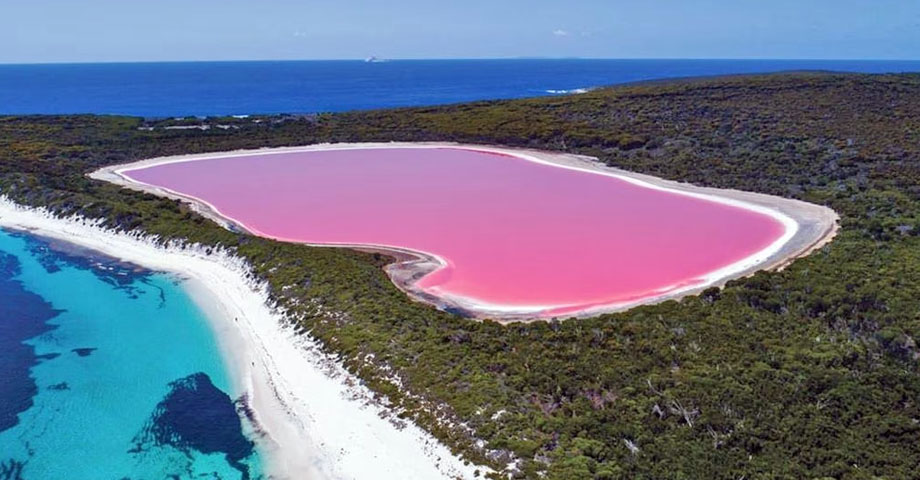 Así es el vibrante color rosa del Lago Hillier en Australia Occidental