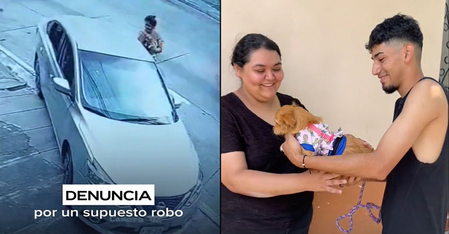 Jóvenes rescatan a perrita que se había extraviado y la devuelven a sus dueños