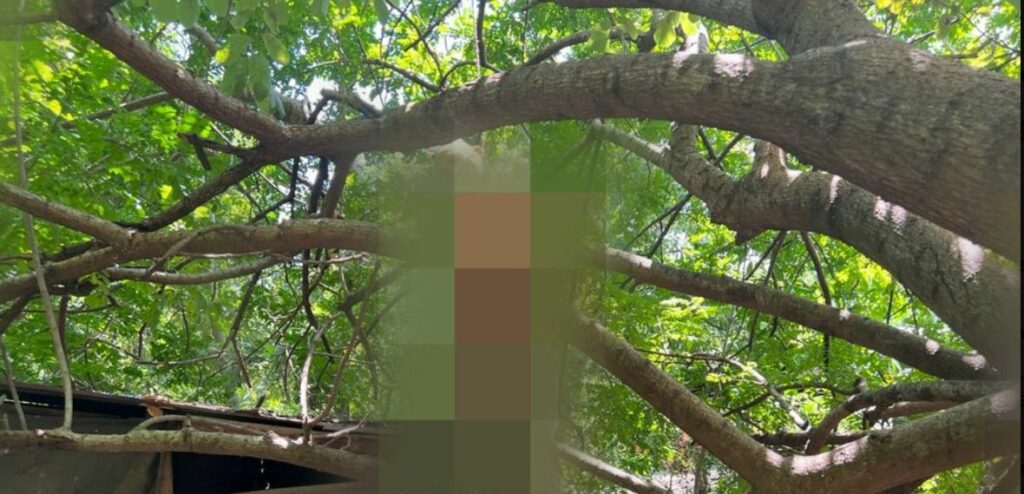 Hombre de 58 años se quita la vida en Ozatlán, Usulután