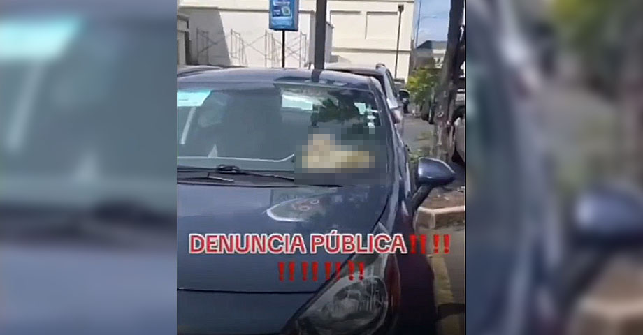 Perrita chihuahua muere después de que su dueño la dejara por horas encerrada en un vehículo