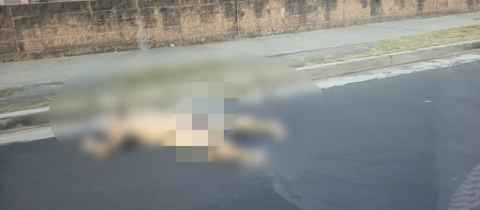 Encuentran a hombre sin ropa en los alrededores de popular centro comercial de San Salvador