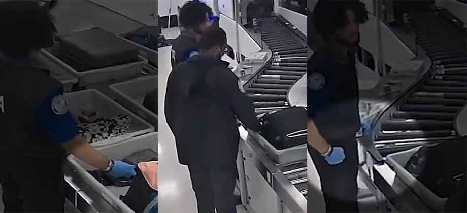 Graban a agentes de seguridad robando a pasajeros en aeropuerto de Miami