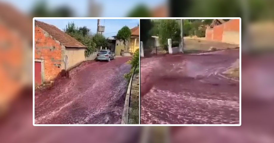 Corrieron ríos de vino tras la explosión de una destilería en Portugal