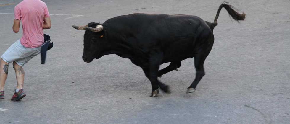 Muere un hombre tras recibir una cornada de un toro en una fiesta española