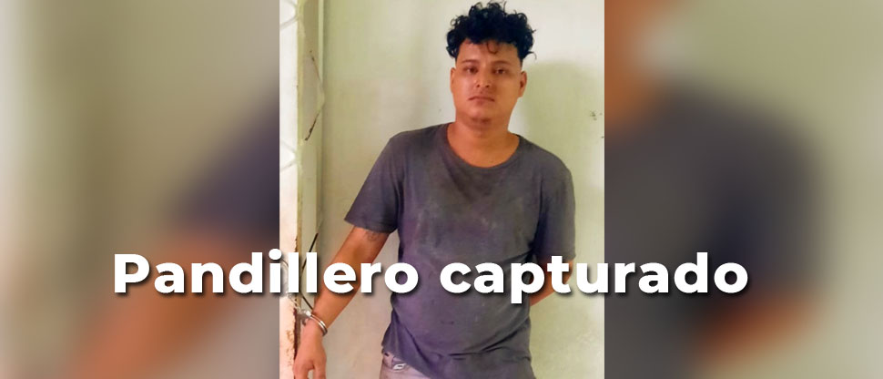 PNC hace efectiva captura de pandillero que aún delinquía en San Miguel