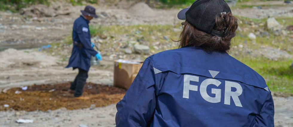 Fiscalía destruye cocaína, metanfetamina, sal de epsom y otras drogas