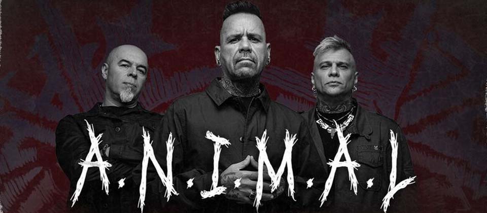 A.N.I.M.A.L. se presenta mañana viernes en El Salvador