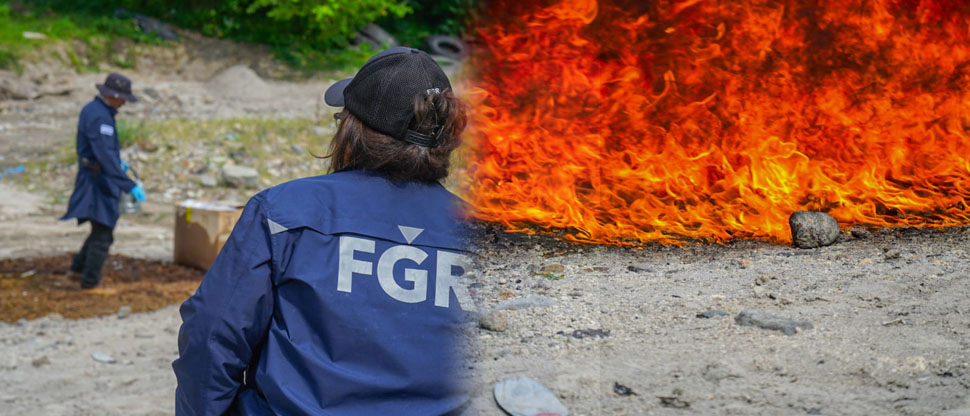 PNC y FGR coordinan destrucción de droga incautada y valorada en más de $60 mil