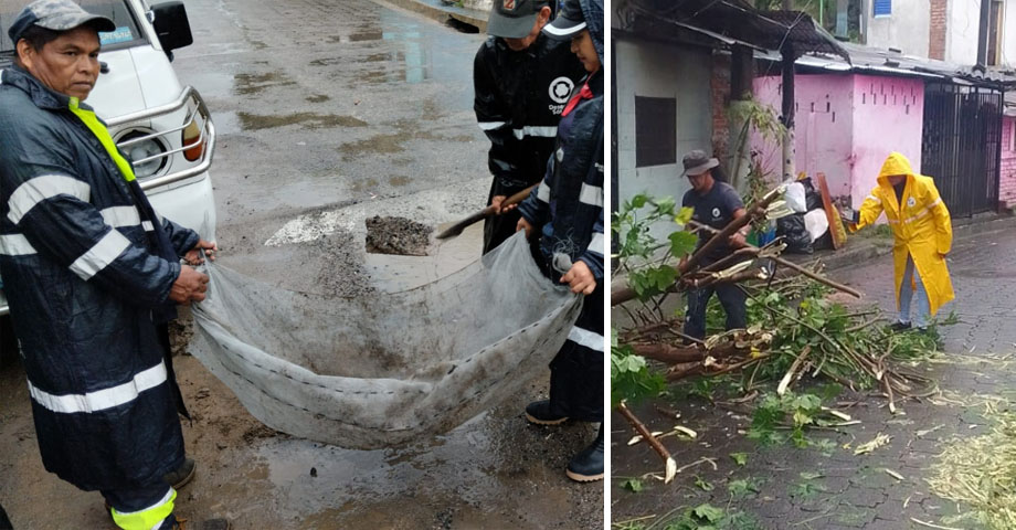 Personal de alcaldía capitalina libera tragantes obstruidos y remueve árboles caídos en distintos puntos de la capital