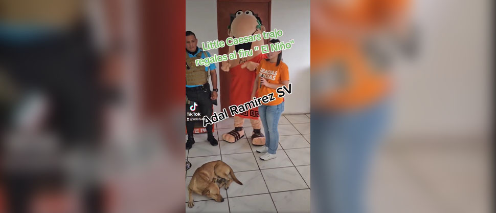 Entregan premios a perrito que aprovechó un descuido y tomó una caja de pizza 